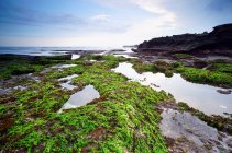 Rocce ricoperte di muschio sulla spiaggia di Mengening con bassa marea, Bali, Indonesia — Foto stock