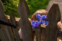 Mädchen mit Hyazinthenblüten steht hinter Holztor im Garten — Stockfoto
