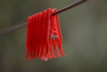 Clothes pegs hanging on washing line, blurred background — Stock Photo