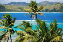 Тропический остров с пальмами, Фиджи — стоковое фото
