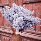 Female hand holding a bouquet of lilac flowers — Stock Photo