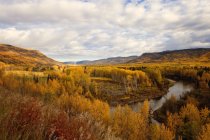 Vue panoramique de la rivière à travers le paysage rural d'automne, Colombie-Britannique, Canada — Photo de stock
