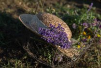 Scenic view of straw hat, lavender and wildflowers in a metal basket — Stock Photo