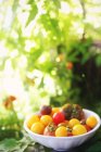 Tigela de tomates frescos na mesa no jardim, fundo borrado — Fotografia de Stock