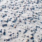 Vista panorámica de las conchas marinas en la playa - foto de stock
