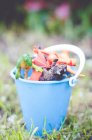 Closeup view of bucket of plastic dinosaur toys, blurred background — Stock Photo