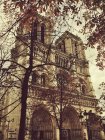 Низький кут зору собор Нотр-Дам, Париж, Франція — стокове фото