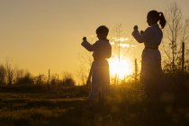 Силует двох дітей, які практикують тхеквондо на заході сонця — стокове фото