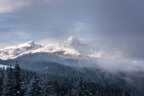 Vue panoramique sur la montagne Jungfrau, Alpes Berenoises, Suisse — Photo de stock