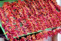 Червоний гарячий Чилі перцю висить на ринку — стокове фото