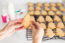 Cropped image of Woman preparing Christmas cookies shaped like Christmas trees — Stock Photo