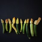 Zucchine appena raccolte disposte in fila sullo sfondo nero — Foto stock