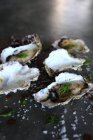 Primo piano di ostriche fresche con aneto sulla superficie grigia — Foto stock