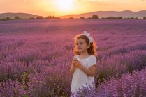 Retrato de uma menina em pé no campo de lavanda ao pôr do sol — Fotografia de Stock