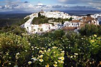 Vista panorámica del paisaje urbano con flores en primer plano, Vejer de la Frontera, Cádiz, Andalucía, España - foto de stock