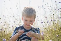 Retrato de menino sentado em um campo, brincando com flores silvestres — Fotografia de Stock