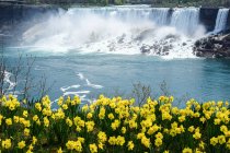 Vue panoramique sur les chutes du Niagara au printemps, Canada — Photo de stock