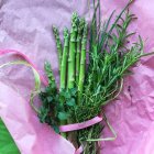 Espargos e ervas sobre papel tissue rosa — Fotografia de Stock