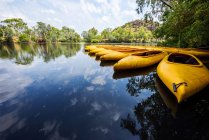 Kayaks in a row at Nitmiluk gorge, Northern Territory, Australia — Stock Photo