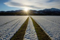 Traktorreifen-Spuren in schneebedecktem Feld, Methven, Canterbury, Neuseeland — Stockfoto