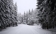 Schöne Aussicht auf verschneiten Waldweg — Stockfoto