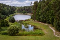 Vista panorámica del lago rodeado de árboles, Condado de Alytus, Lituania - foto de stock