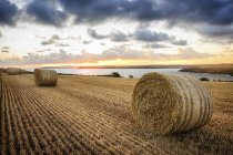 Мальовничим видом тюки сіна в полі на захід сонця, Корнуолл, Англія, Великобританія — стокове фото