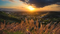Vista panorâmica da grama foxtail ao pôr do sol, Califórnia, América, EUA — Fotografia de Stock