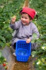 Lächelndes kleines Mädchen pflückt Erdbeeren im Garten — Stockfoto