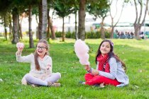 Две маленькие кавказские девочки сидят на траве с сахарной ватой в парке — стоковое фото