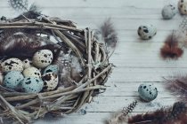 Close-up vista de ninho cheio de ovos, fundo de madeira — Fotografia de Stock