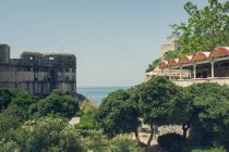Croacia, Dubrovnik, frondoso follaje de árboles y muralla de la ciudad vieja - foto de stock