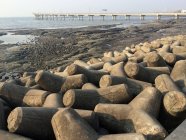 India, Mumbai, tetrápodos de hormigón en la playa y puente en el fondo - foto de stock