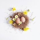 Великоднє гніздо з яйцями та весняними квітами — стокове фото