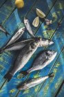 Сырой морской лещ, морской окунь, сардины и рыба макрель на деревянном столе с лимоном и чесноком — стоковое фото