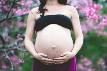 Close-up of Woman standing next to Sakura tree cradling pregnant belly — Stock Photo