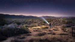 Junge leuchtet Fackelschein an Sternen am Himmel, Joschua-Baum-Nationalpark, Kalifornien, USA — Stockfoto