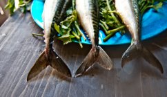 Three fishes on a plate with parsley, closeup — Stock Photo