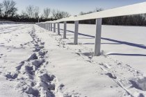 Huellas en la nieve a lo largo de valla de madera - foto de stock