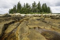 Vista panoramica delle piscine di marea tra affioramenti di granito, Acadia National Park, Maine, America, USA — Foto stock