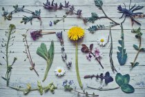 Collection of wild flowers on wooden table — Stock Photo