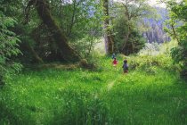 Trois enfants courent à travers l'herbe haute — Photo de stock