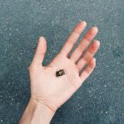 Primer plano del insecto verde en la palma de la mano - foto de stock