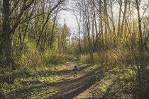 Niño corriendo en el camino a través del bosque - foto de stock