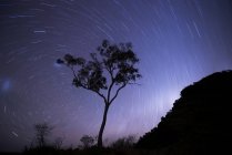 Звездные тропы в Северной Территории, Элис Спрингс, Австралия — стоковое фото