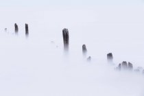 Vista panorámica de los restos de un muelle en la niebla - foto de stock