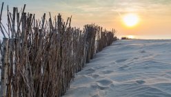 Vista panorámica de la valla de madera en la playa al atardecer, Schoorl, Holanda - foto de stock