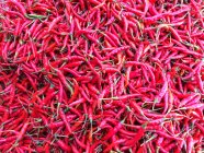 Перець червоний chillie у купи, повний кадр — стокове фото