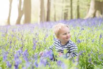 Retrato de um menino sentado na floresta de bluebell — Fotografia de Stock