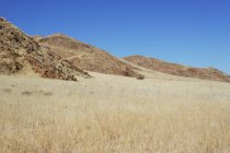 Malerische Aussicht auf schöne ländliche Landschaft, USA — Stockfoto